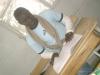 Lycée Lamine Guèye (ex Van Vo) : MAMADOU LAMINE SANE